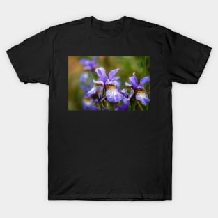 Blue Siberian irises T-Shirt